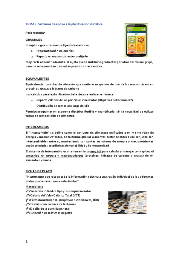 Miniatura del documento TEMA-1-DIET.pdf