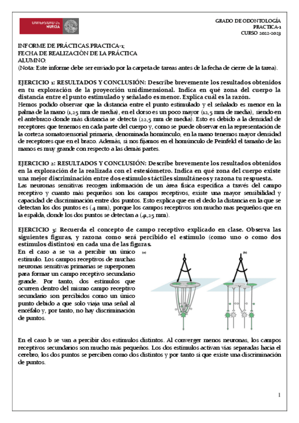 Miniatura del documento INFORME-PRACTICA-1.pdf