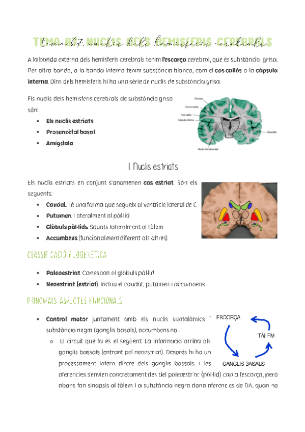 Miniatura del documento Tema-B7.pdf