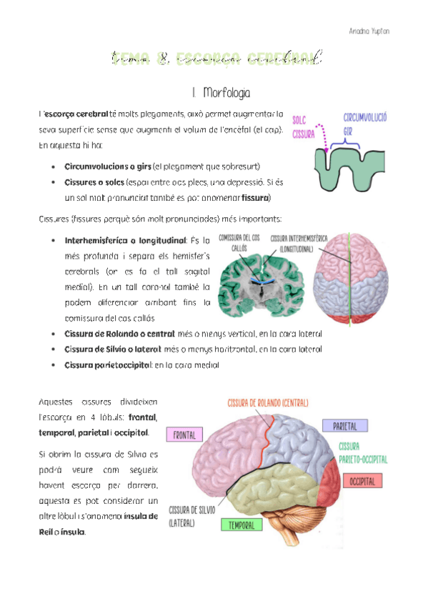 Miniatura del documento Tema-B8.pdf