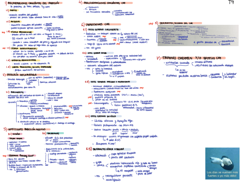 Miniatura del documento Tema-4-OTR.-PFL..pdf