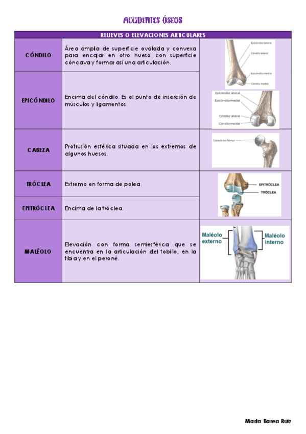 Miniatura del documento ACCIDENTES-OSEOS.pdf