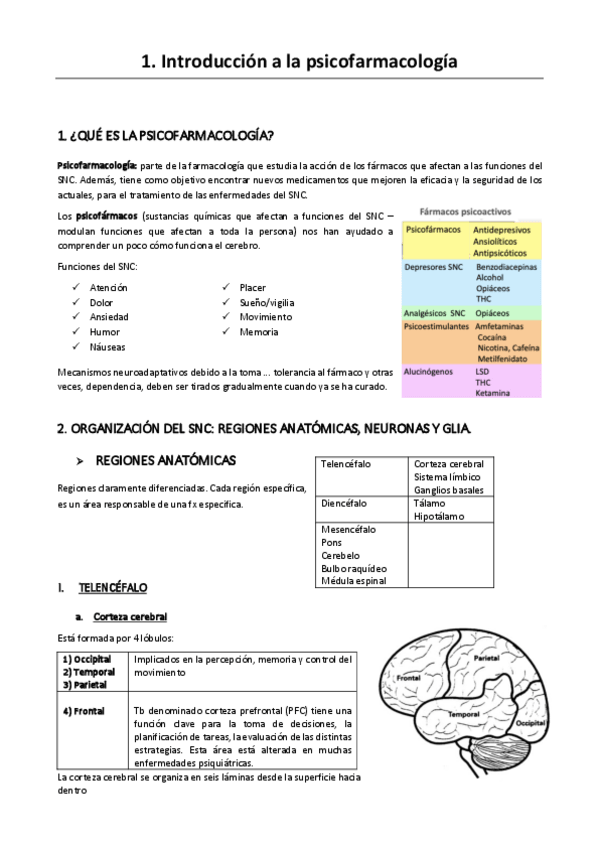 Miniatura del documento TEMA-1.pdf