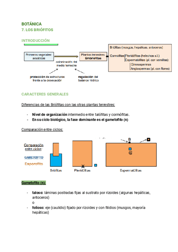 Miniatura del documento 7.-LOS-BRIOFITOS.pdf