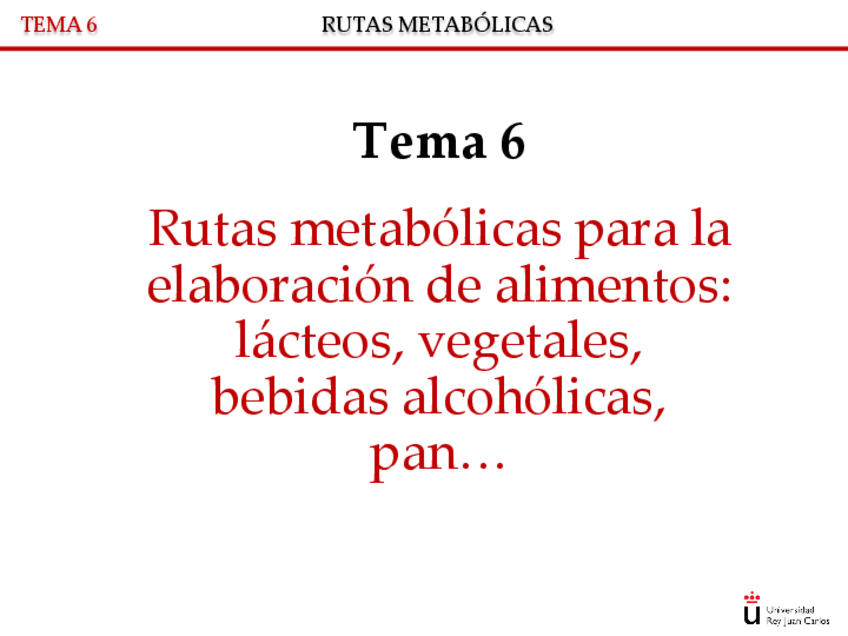 Miniatura del documento TEMA-6-RUTAS-METABOLICAS-ELABORACION220223161648.pdf