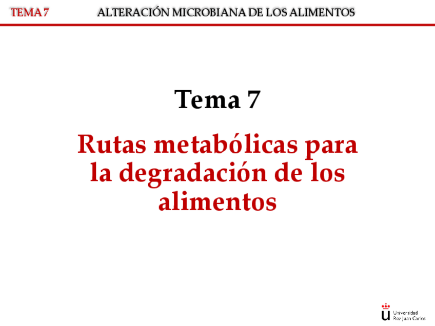 Miniatura del documento TEMA-7-RUTAS-METABOLICAS-DEGRADACION.pdf