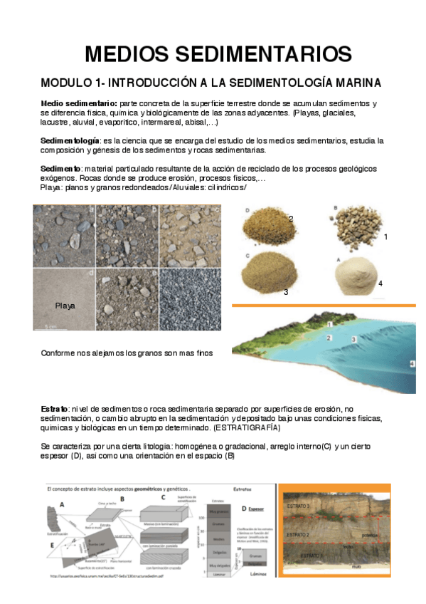 Miniatura del documento Medios-Sedimentarios-M1y2.pdf