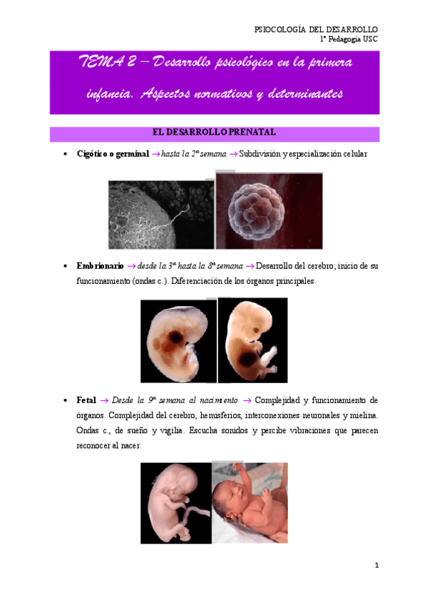 Miniatura del documento tema-2.pdf