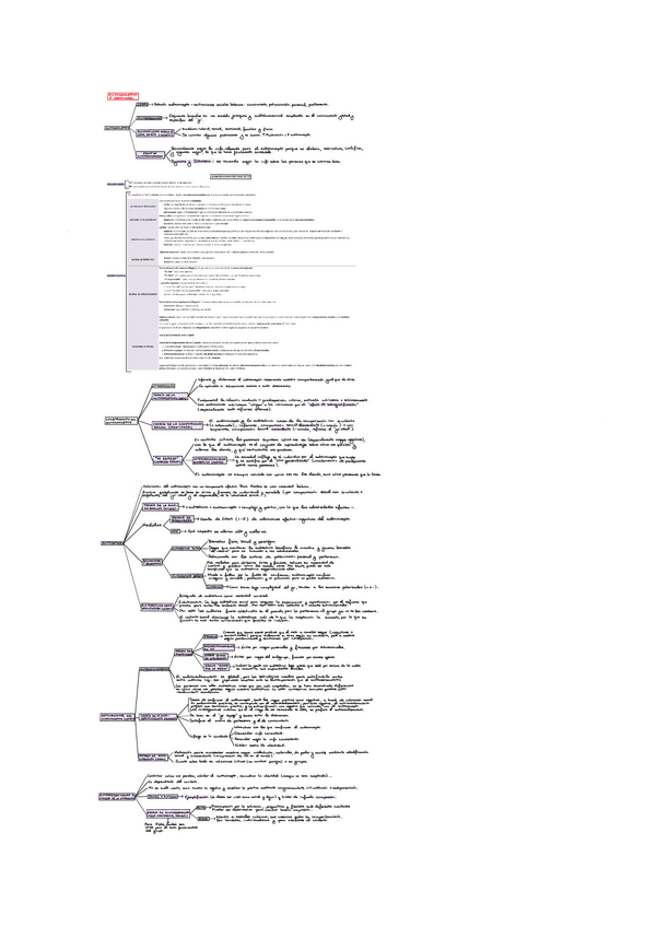 Miniatura del documento Psicologia-Social-UNED-T5-S2.pdf