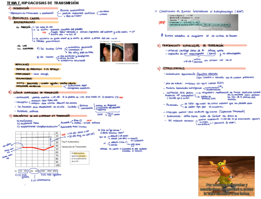 Miniatura del documento Tema-7.-OTR.-PFL.pdf