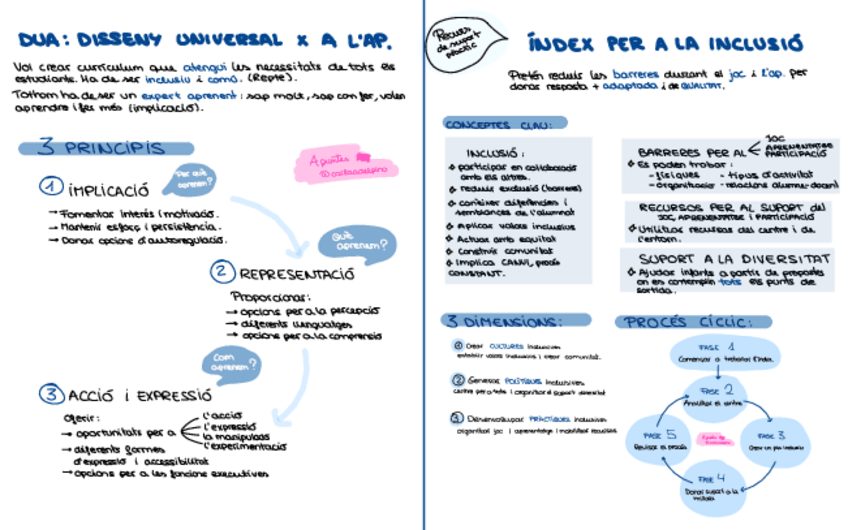 Miniatura del documento indexinclusion-y-DUA.pdf