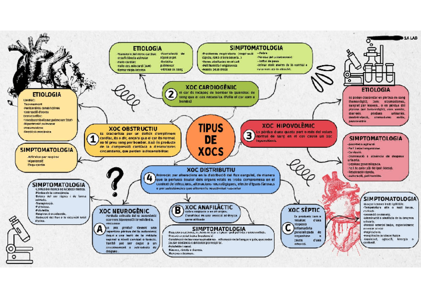 Miniatura del documento Mapa-mental-tipus-xocs.pdf
