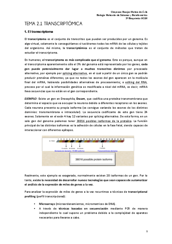 Miniatura del documento Tema 2.1. Transcriptoma. FINAL.pdf