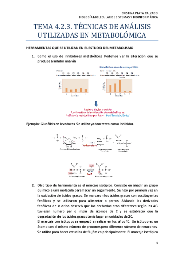 Miniatura del documento TEMA 4.2.3.pdf