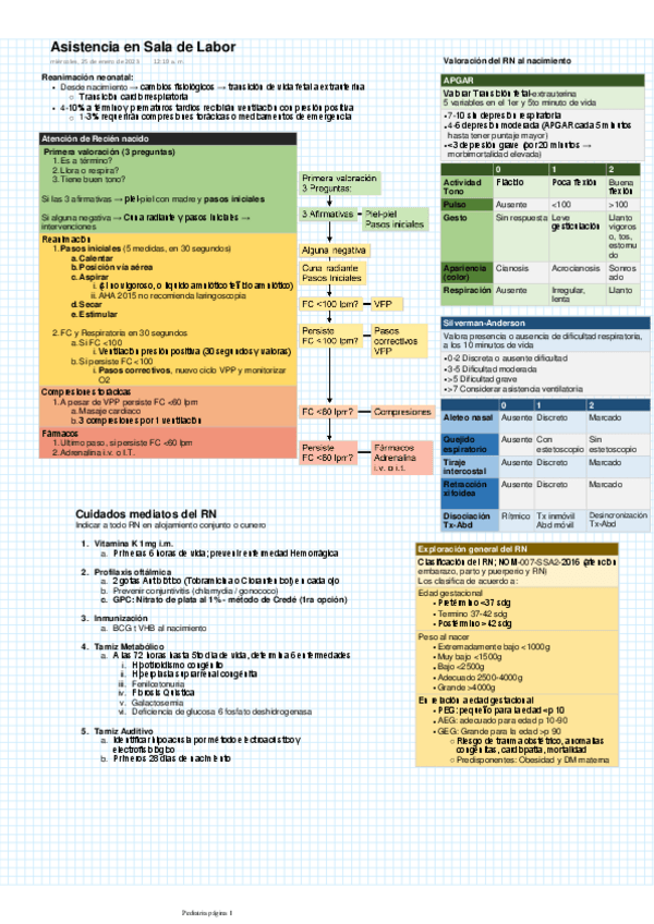 Miniatura del documento Asistencia-en-Sala-de-Labor.pdf