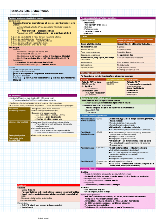 Miniatura del documento Cambios-Fetal-Extrauterino.pdf