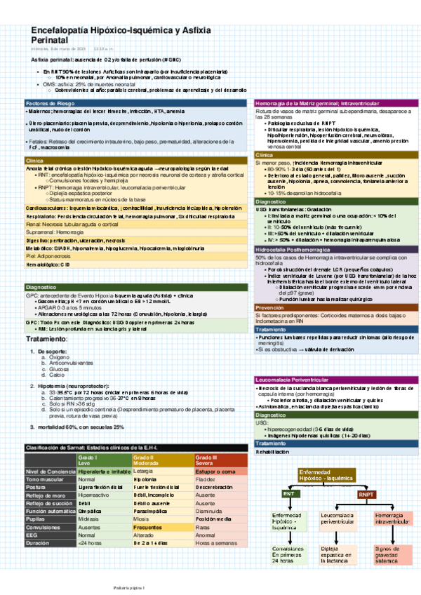 Miniatura del documento Encefalopatia-Hipoxico-Isquemica-y-Asfixia-Perinatal.pdf