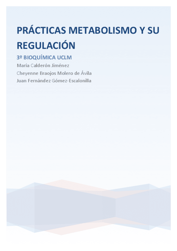 Miniatura del documento INFORME METABOLISMO FINAL. CHEYENNE MARIA JUAN.pdf