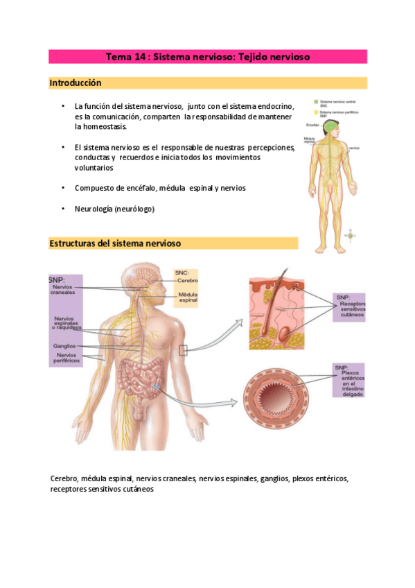 Miniatura del documento tema-14-a-18-todo-el-SN.pdf