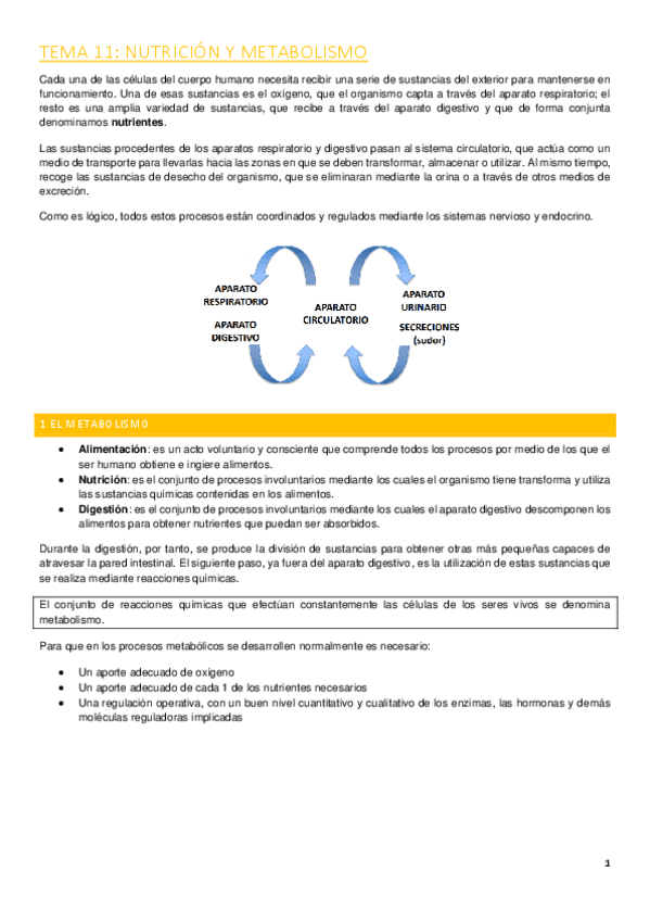 Miniatura del documento Nutricion-y-metabolismo.pdf