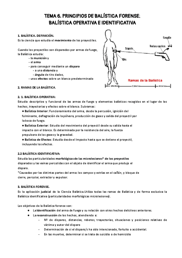 Miniatura del documento TEMA-6-policia.pdf