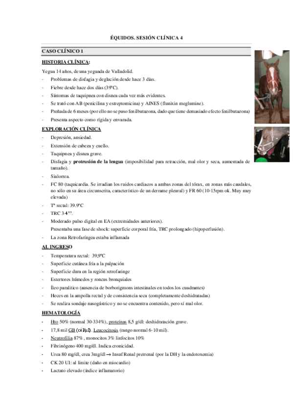 Miniatura del documento SESIONES-CLINICAS-EQ.-4.-con-cuestionario.pdf