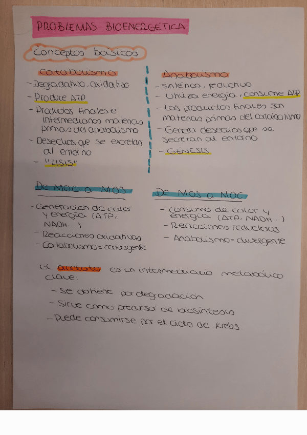 Miniatura del documento Sesion-1-problemas-bioenergetica.pdf