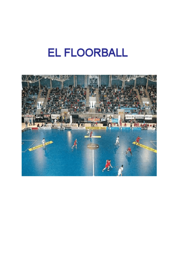 Miniatura del documento Floorball.pdf
