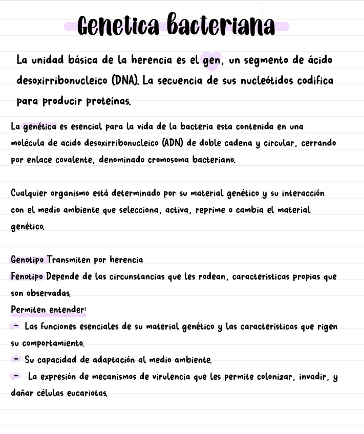 Miniatura del documento genetica-bacteriana.pdf