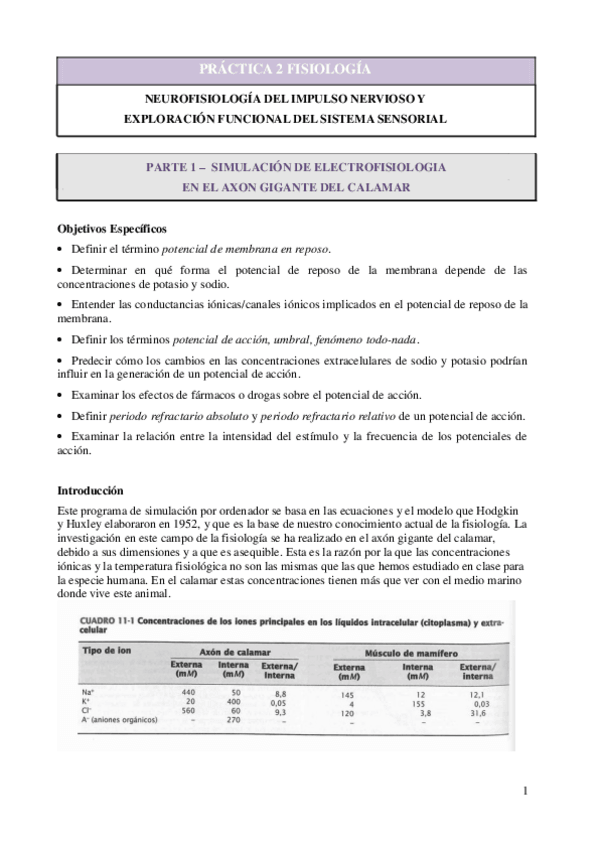 Miniatura del documento Practica-MOD2-NeurosimHH-y-Exploracion-Sensorial-Somatica.-Emma-Talaya-Navarro.pdf