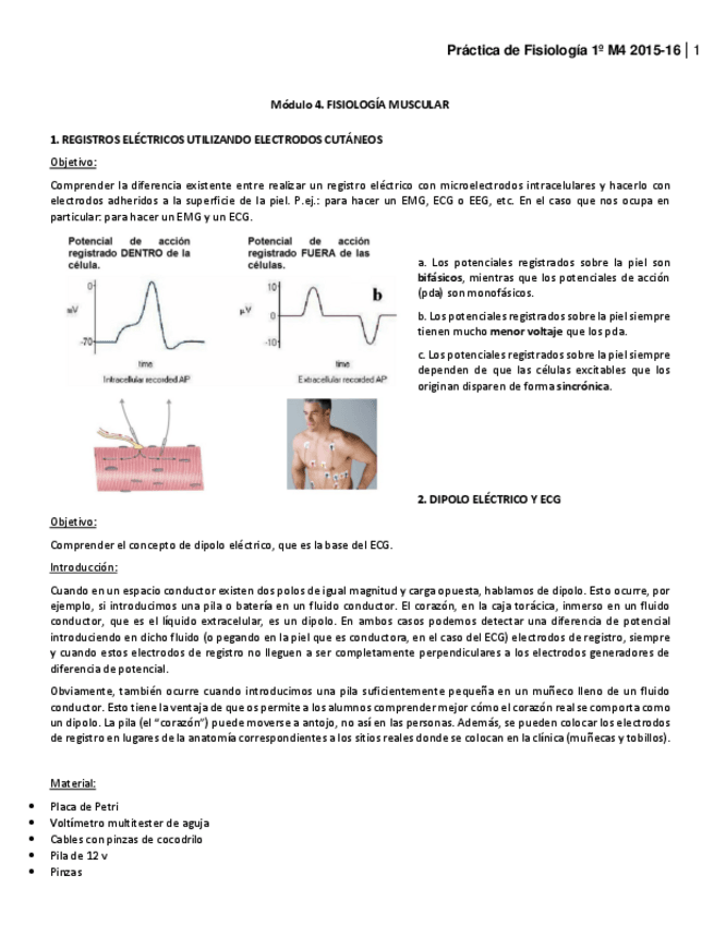 Miniatura del documento Protocolo-practica.pdf