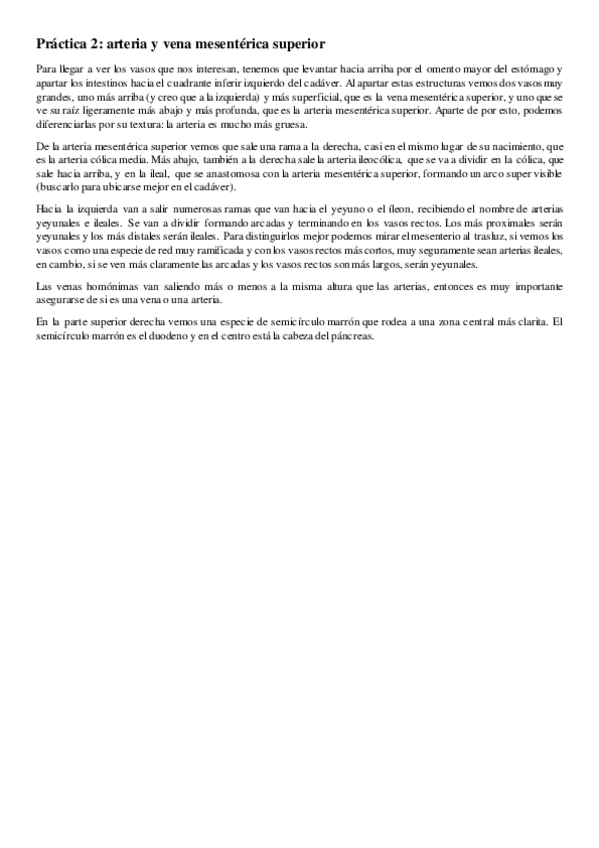 Miniatura del documento Practica-2.-Region-inframesocolica-intraperitoneal.pdf