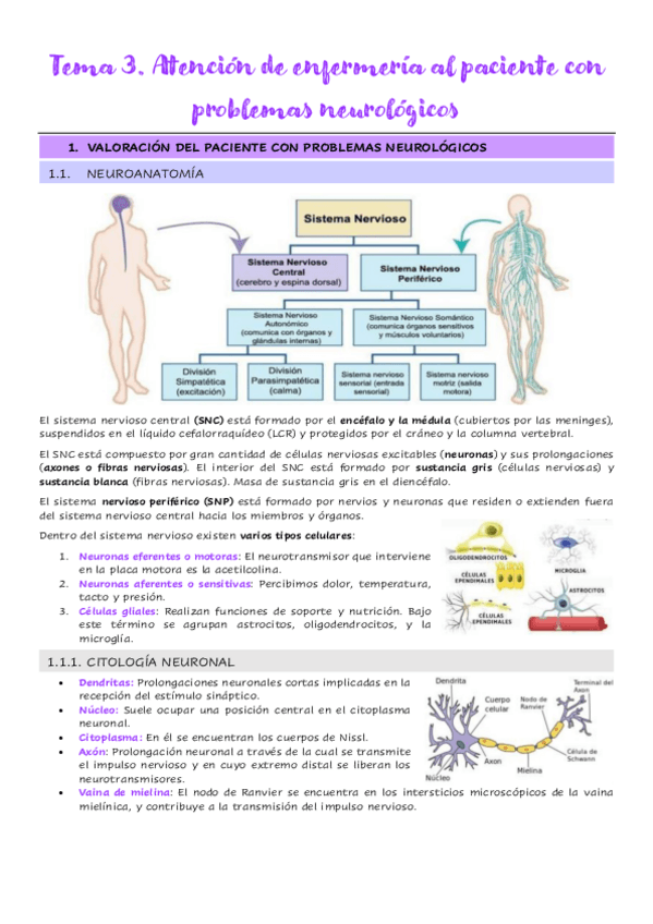 Miniatura del documento 3.1.-Valoracion-del-paciente-con-problemas-neurologicos.pdf