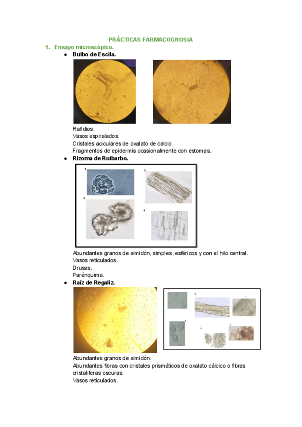 Miniatura del documento MICROSCOPIA-Practicas-farmacognosia.pdf