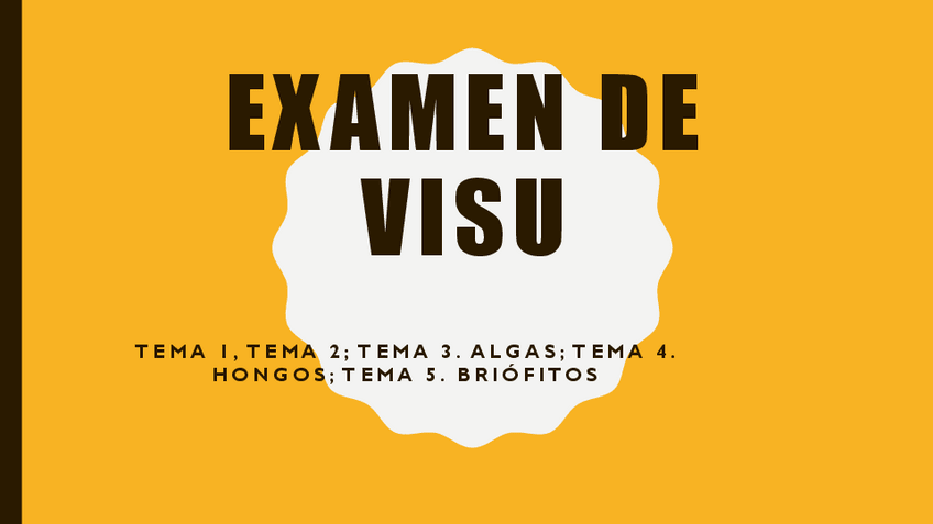Miniatura del documento Examen-de-VISU-Tema-1-5.pdf