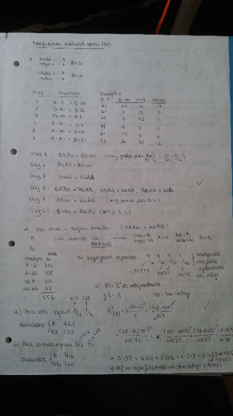 Miniatura del documento Mendelismo1.pdf