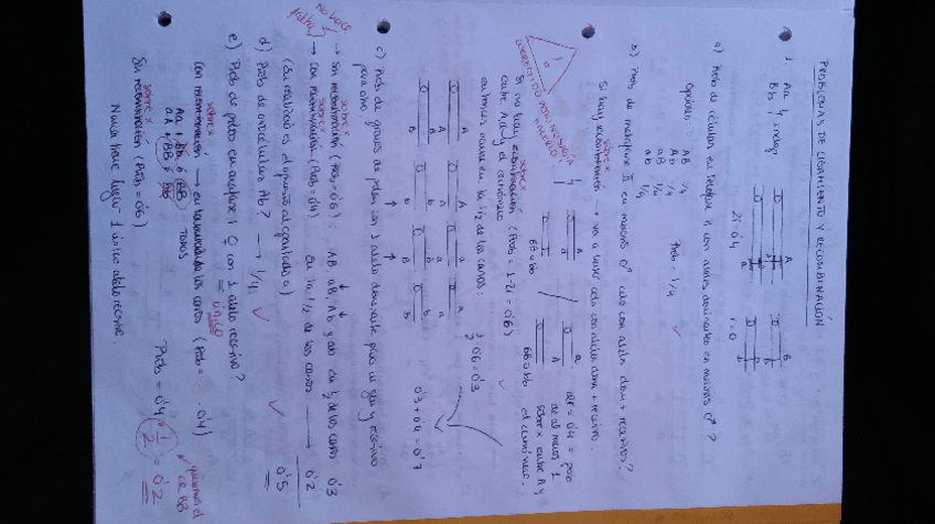 Miniatura del documento Ligamiento 1.pdf