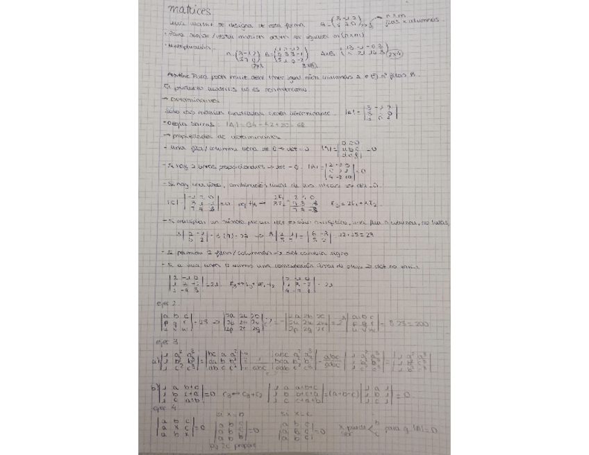 Miniatura del documento matrices-I.pdf