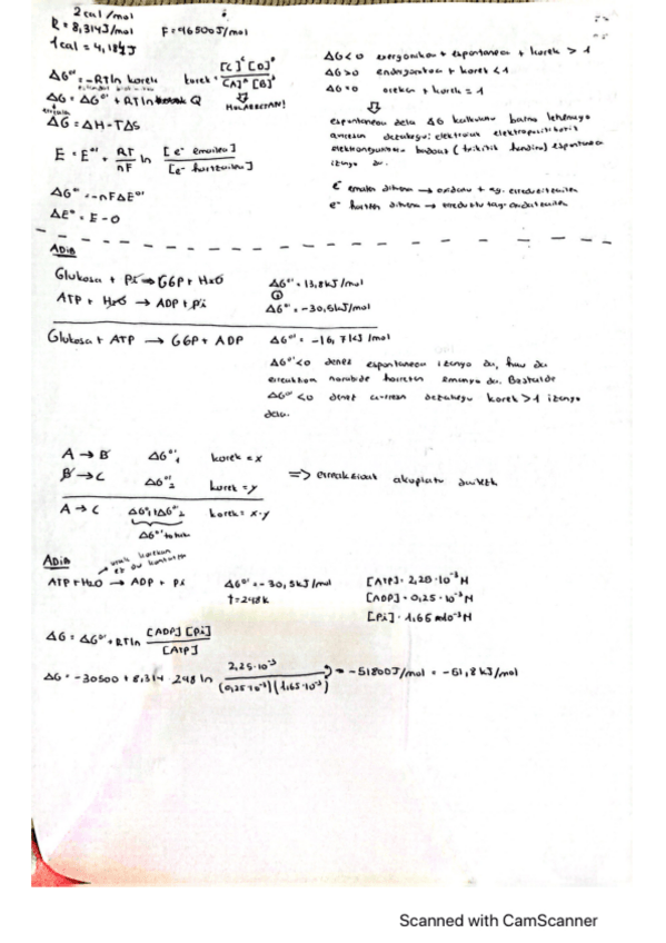 Miniatura del documento Bioenergetika-formulak.pdf