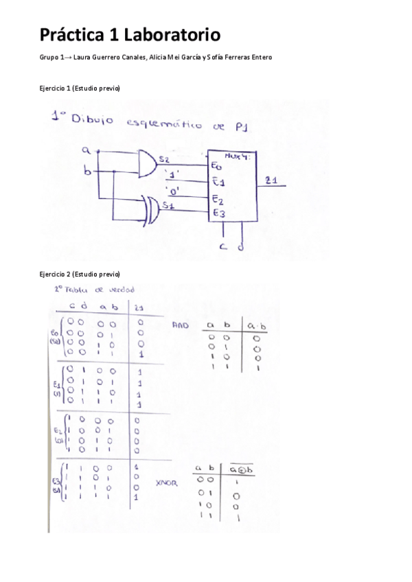 Miniatura del documento P1-ESTUDIO-PREVIO.pdf