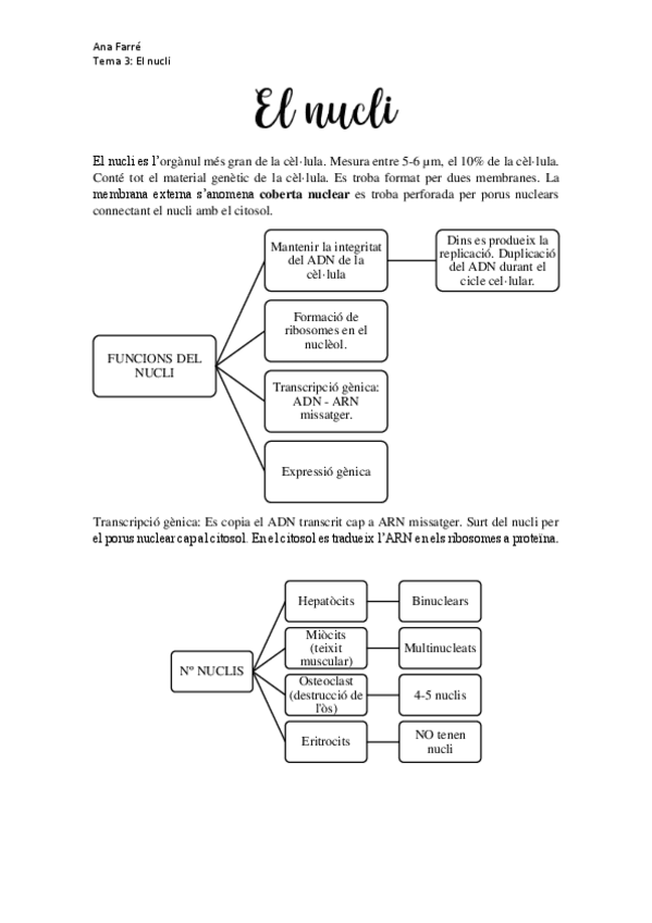 Miniatura del documento TEMA-3-el-nucli.pdf