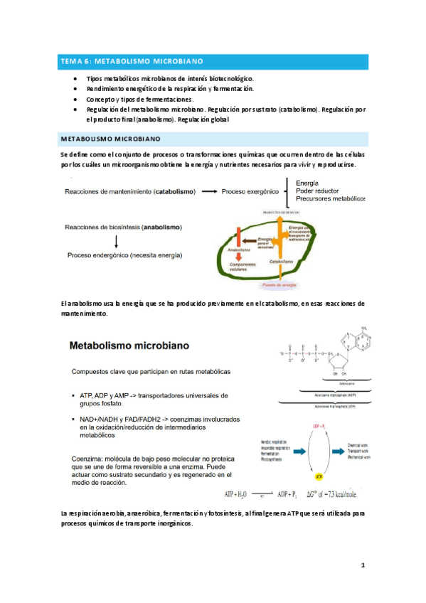 Miniatura del documento Tema-6.pdf