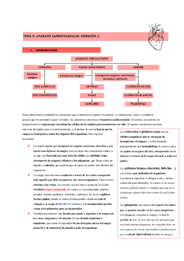 Miniatura del documento APARATO-CARDIOVASCULAR.pdf