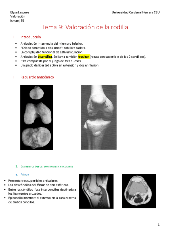 Miniatura del documento Valo-Isma-RODILLA-Tema-9.pdf