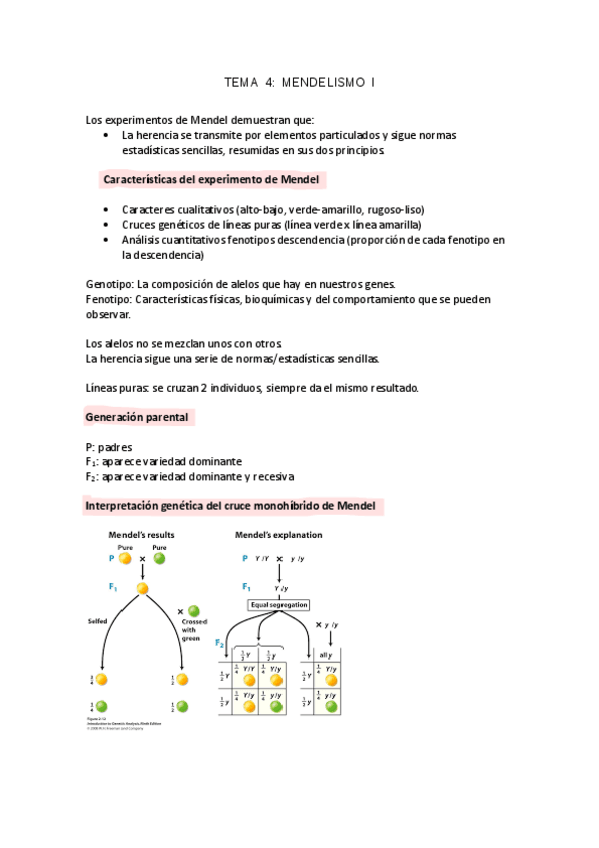 Miniatura del documento TEMA4GEN.pdf