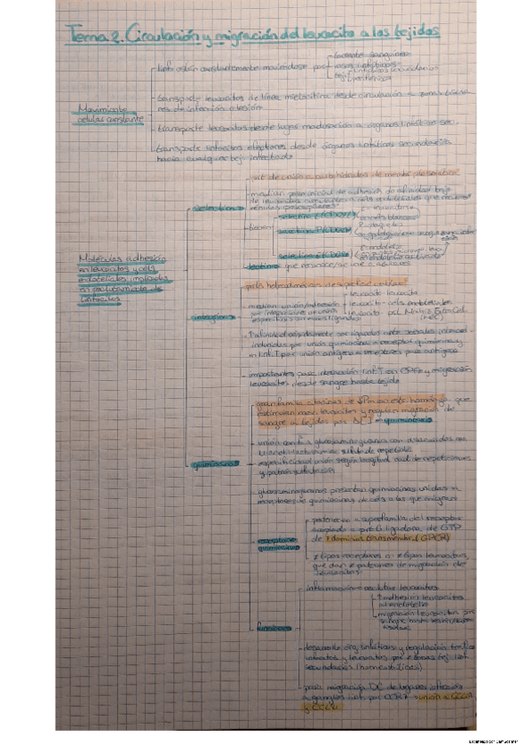 Miniatura del documento Tema 2 Inmuno.pdf