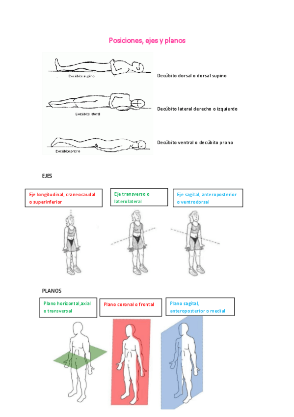 Miniatura del documento Posiciones-ejes-y-planos.pdf