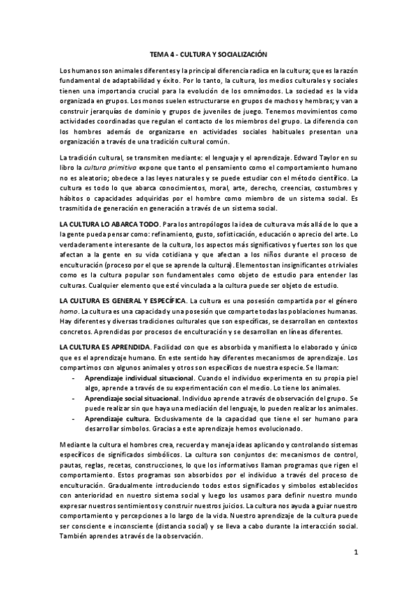 Miniatura del documento 2.1.-Cultura-y-socializacion.pdf