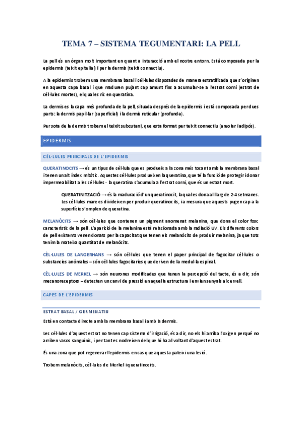 Miniatura del documento tema-7-la-pell.pdf