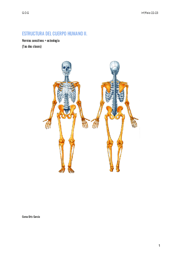 Miniatura del documento OSTEOLOGIA-EEII--NERVIOS-SENS.-DE-LA-CABEZA.pdf